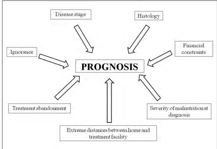 Figure 2.2:   Factors affecting prognosis of children with cancer in developing countries 