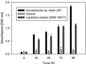 Figure 5. Oxidation of 1 mM Mn (II) after 5 days incubation in the presence and absence of 1 mg/L Fe (II) by Acinetobacter sp