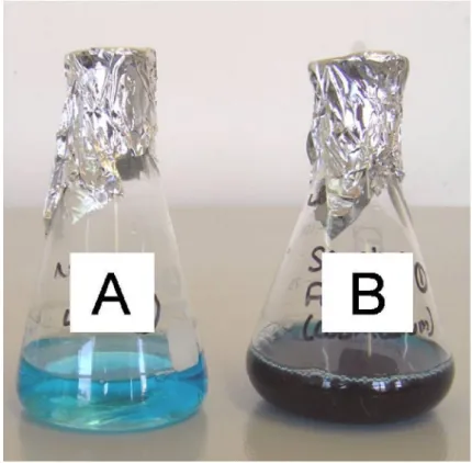 Figure S1:  Qualitative detection  of  Mn  (II) oxidation  by  the  manganese (II) oxidizing  isolate Acinetobacter sp