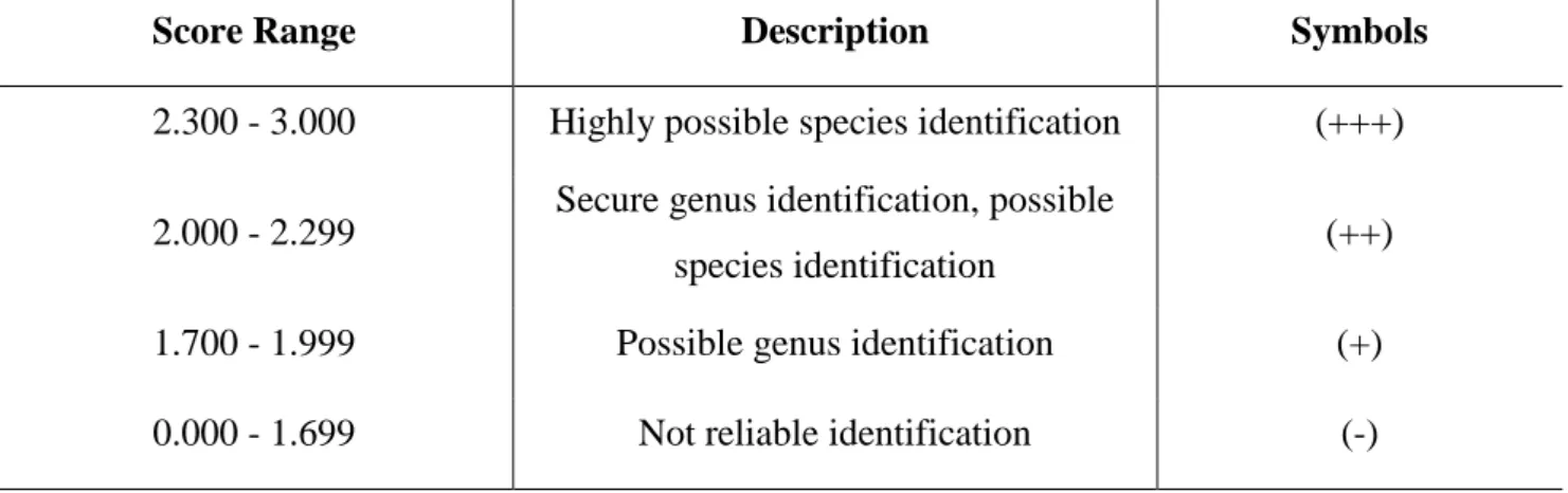 Table 3. Main spectra projections for cell extracts of Acinetobacter sp. LB1 in relation to  other species within the same genus from the literature* 
