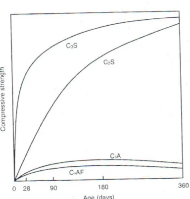 Figure 2-5: Strength Development (Addis, 2008) 