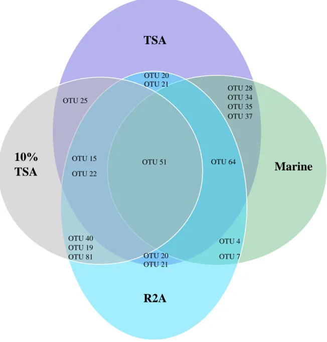 Figure 3.8. Venn diagram illustrating the distribution of Operational Taxonomic Units  representing AEFB isolates revived on different agar media  