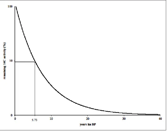 Figure 4.1 Radiocarbon decay curve (adapted from Walker, 2005)  