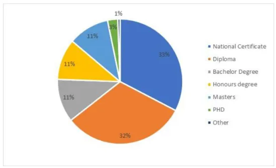 Figure 4.1: Distribution of the level of education of respondents 