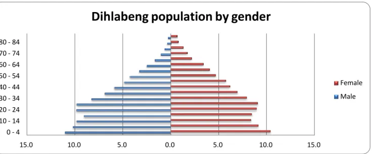 Figure 4.3 Household heads around Dihlabeng