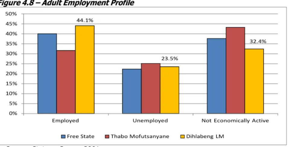 Figure 4.8 – Adult Employment Profile
