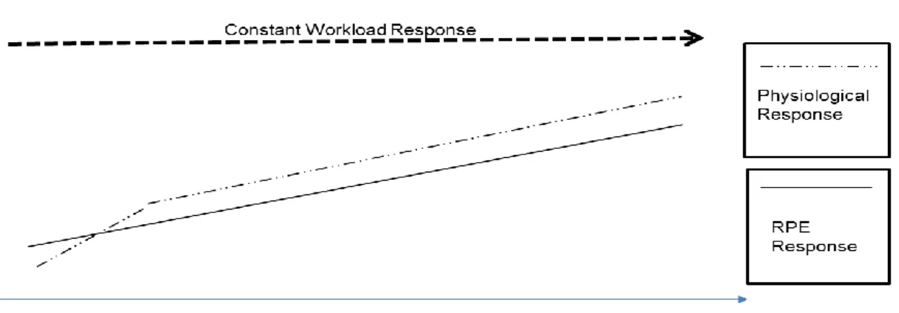 Figure  7:  Expected physiological  and  perceptual  responses  data from  the  constant  workload condition