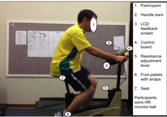 Figure 8: Participant seated on Cateye Ergociser cycle 