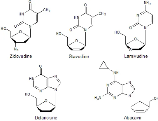 Figure 1.6   Clinically used NRTIs (Sarafianos et al., 2010). 