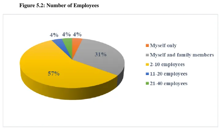 Figure 5.2: Number of Employees 