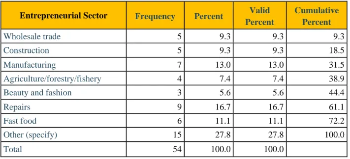 Table 5.1: Entrepreneurial Sector/Activity 
