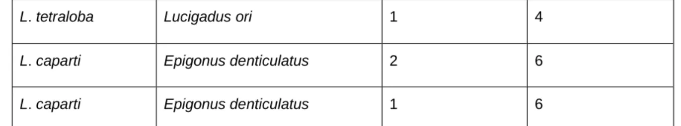 Table 2.2: Primers used in PCR amplification of a part of  mitochondrial gene (COI),  with their sequences and product size anticipated