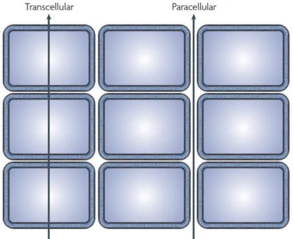 Figure 3 shows an inclusive classification by Newman 7  of drugs discovered from 1981 to 2014
