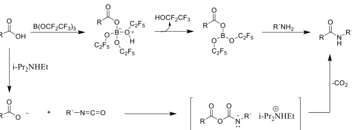 Scheme 23. Illustration of acid-isocyanate condensation versus boron-mediated coupling