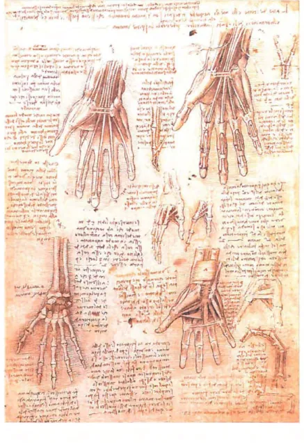 Fig.  1.  Leonardo da  Vinci, Studies  ofuJC  Hand  (c.151O), pen and  ink with  wash  over traces of black chalk on paper,  28.8 x 20.2cm, Royal  Collection 