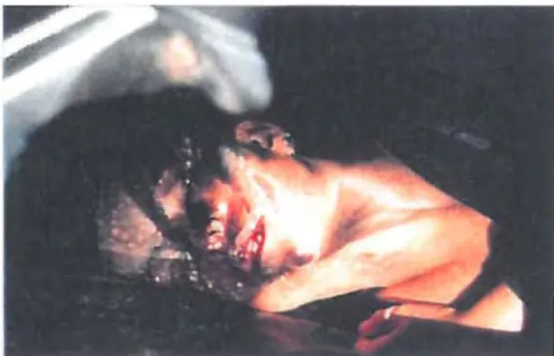 Fig.  9.  Kathryn Smith, Slill Life #1  (1997),  lambda photograph. 50  x 70cm. 