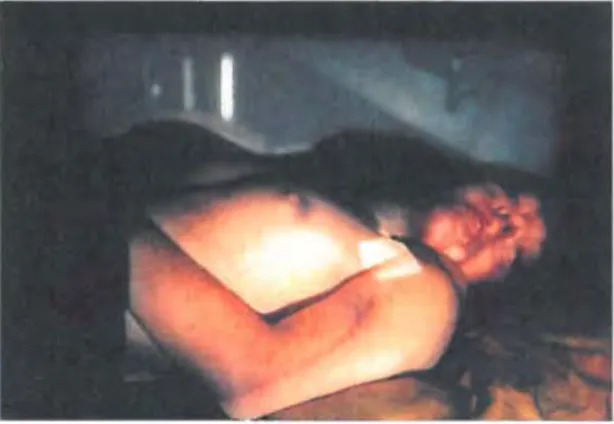 Fig.  10.  Kathryn Smith, Slill Life #6 (1997), lambda  photograph. 50 x 70cm. 