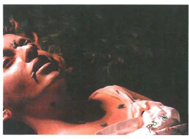 Fig.  13.  Kathryn  Smith, Memento  Mori #4 (2004),  lambda print on Kodak metallic paper, 68  x 8Scm