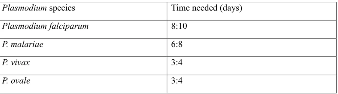 Table 1-1:   Summary of needed time for complete maturation of gametocytes [15] 