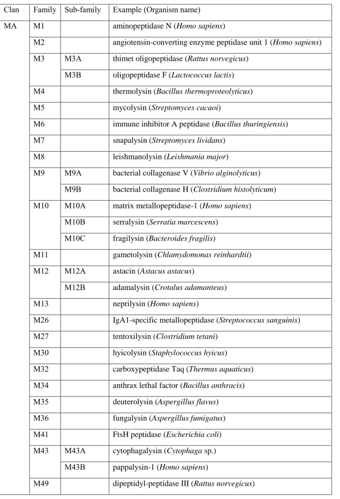 Table 1-3: Summary of MA metallopeptidase enzymes (adapted from MEROPS database )[19] 