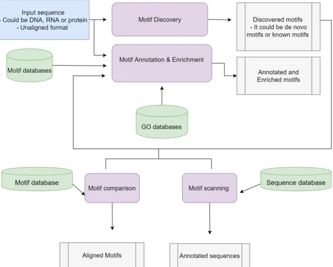 Figure 2-2: Summary of the MEME suite features and a suggested workflow with the output of  each analysis.