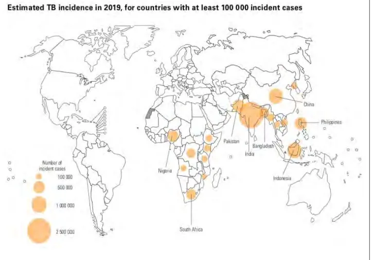 Figure 1. 1: Estimated TB incidence cases for 2019 (image from WHO, 2020)