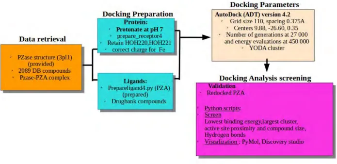 Figure 2.1: Overall applied molecular docking steps, tools and techniques. The docking simulation was perfomed using AutoDOCK 4.2 algorithm