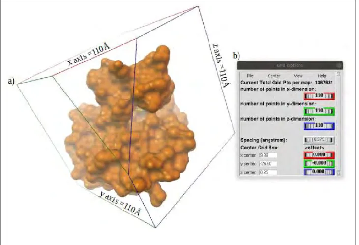 Figure 2.2: Molecular docking box size covering whole protein as used in blind docking