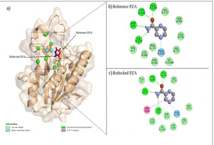 Figure 2.3: Docking validation of PZA on wild type PZase (wheat cartoon and surface). a) Visualization of superimposed redocked PZA structures from this study (blue) against the redocked pose from Sheik Amamuddy et al., 2020 (red) as visualized in PyMOL