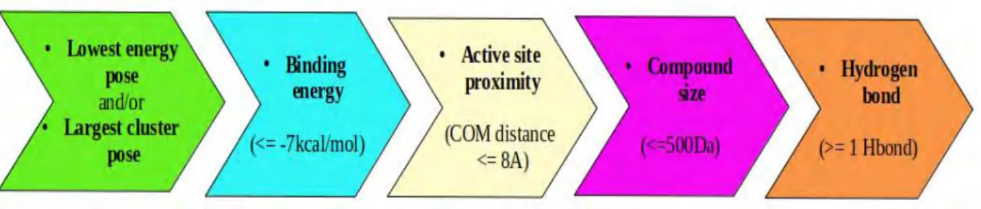 Figure 2.4: Systematic order summarizing the flow of blind docking compound selection