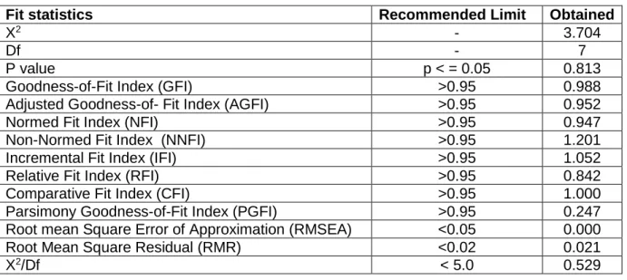 Table 6.9: Fit statistics of the measurement model 