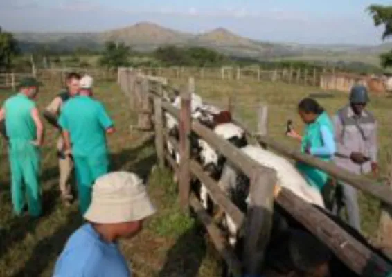 Figure 23 Farm with reasonable facilities 