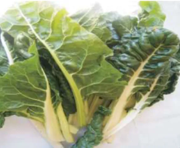 Figure 2.1 Bunch of Swiss chard (http: // anrcatalog.ucdavis.edu). 