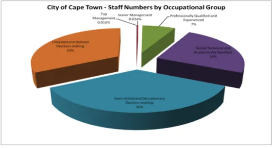 Figure 2.3: Staff Numbers by Occupational Group (City of Cape Town) 