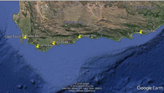 Figure 1:   Capture locations for white sharks (Carcharodon carcharias) sampled in this study.