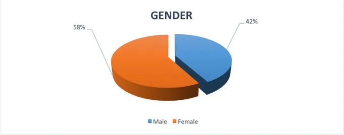 Figure 4.12: Gender 