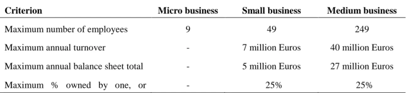 Table 2.4: Criterion as a SME in Europe. (Source: 2010:Online) 