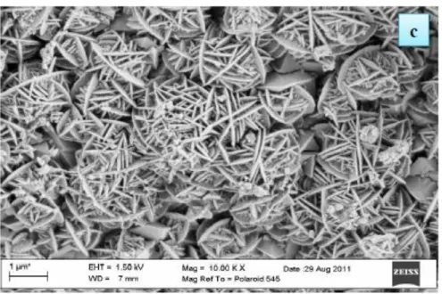 Figure 2-12: SEM micrograph of the hierarchically structured zeolite X   Taken from Musyoka (2012) 