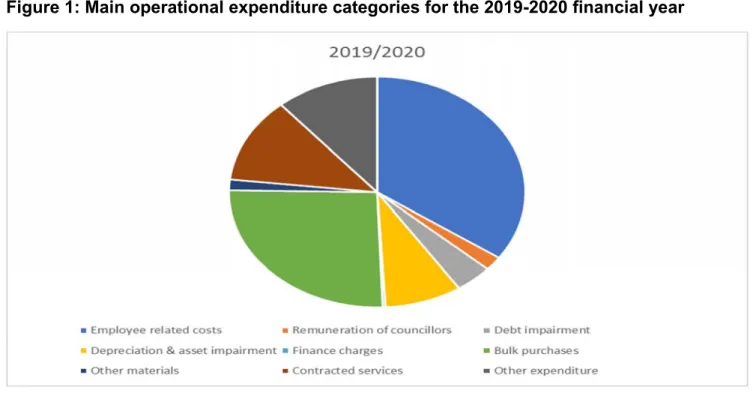 Figure 1: Main operational expenditure categories for the 2019-2020 financial year 