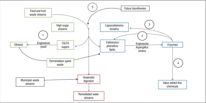 Figure 6:  Integrated approach for remediation and beneficiation of fruit waste streams (ReBenFruWaste)