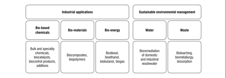 Figure 7:   Thematic areas that are the focus for the development of an industrial bio-economy in South Africa
