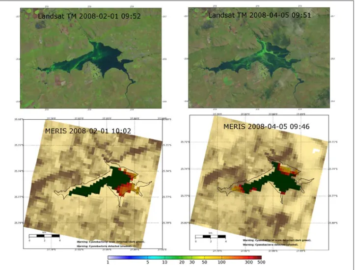 Figure 4:  Surface scum maps of Hartbeespoort Dam from simultaneously acquired MERIS and Landsat imagery