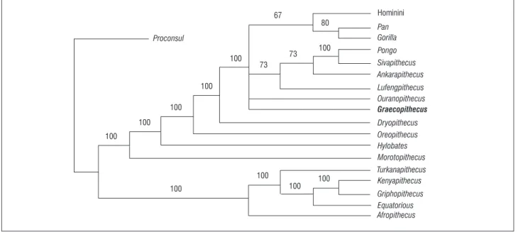 Figure 1:  Majority rule consensus of the cladistic analysis performed in this study. Numbers on branches indicate the frequency (%) of the clade among the  15 most parsimonious trees