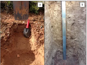 Figure 1:   (a) A shallow pit off-mound with surface gravel including  quartz that was used to indicate whether the mound was the  product of erosion or accretion; (b) a soil pit in a mound with  coarse gravel exposed in a side wall and a gravel accumulati