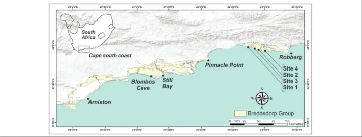 Figure 1:  Map of South Africa and the Cape south coast, showing places mentioned and the locations of Site 1 – Site 4, and the extent of outcrops of the  Bredasdorp Group.