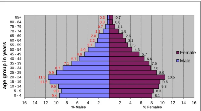 Figure B5 : % Males and Females per age group  