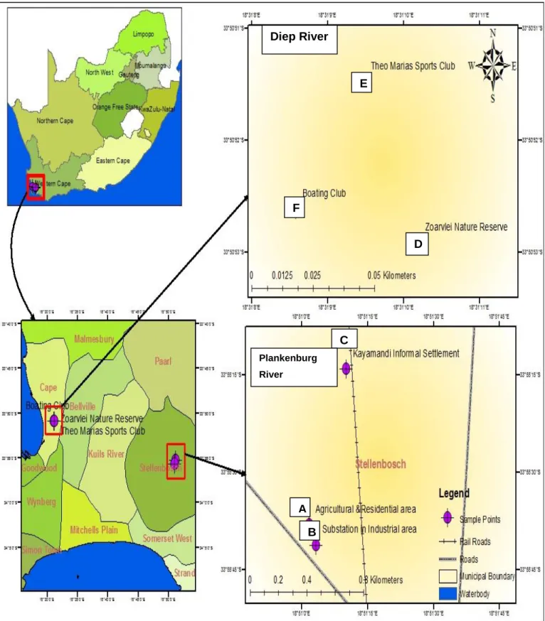 Figure  2:  Map  of  the  Diep-  and  Plankenburg  Rivers  showing  locations  of  sampling  sites  (agricultural farming and residential area, substation in industrial area, informal settlement of  Kayamandi, Zoarvlei nature reserve, Theo Marias sportsclu