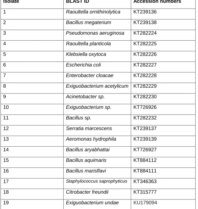 Table  6:  Molecular  (BLAST)  identity  of  the  bacterial  species  isolated  from  the  Diep-  and  Plankenburg Rivers and their respective assigned accession numbers