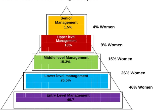 Figure 4.1 Level of women in senior management Pyramid 