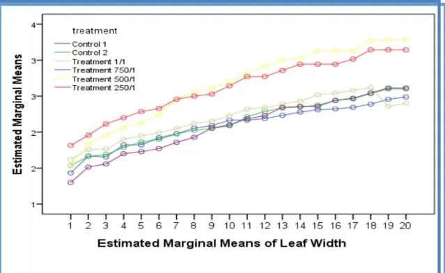Figure  3.4  Effects  of  compost  tea  extract  on  leaf  width  (1cm  =  10  mm)  of  Hypoxis  hemerocallidea
